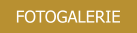 FOTOGALERIE