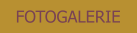 FOTOGALERIE